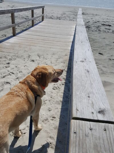 Front Beach Access - Pawleys Island, SC