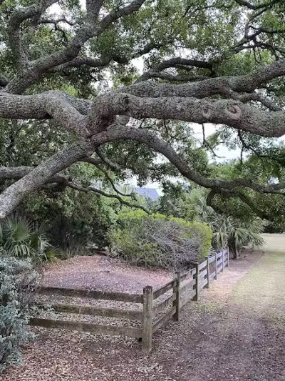 Pawleys Island Nature Park - Pawleys Island, SC