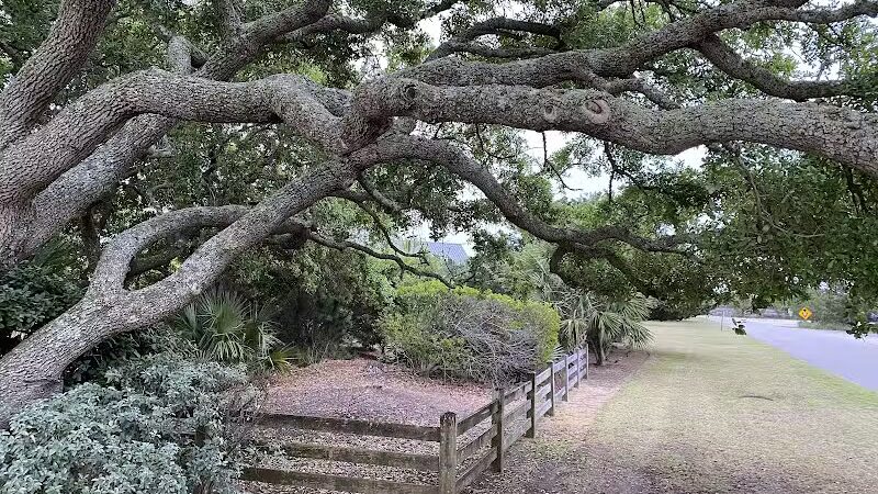 Pawleys Island Nature Park - Pawleys Island, SC