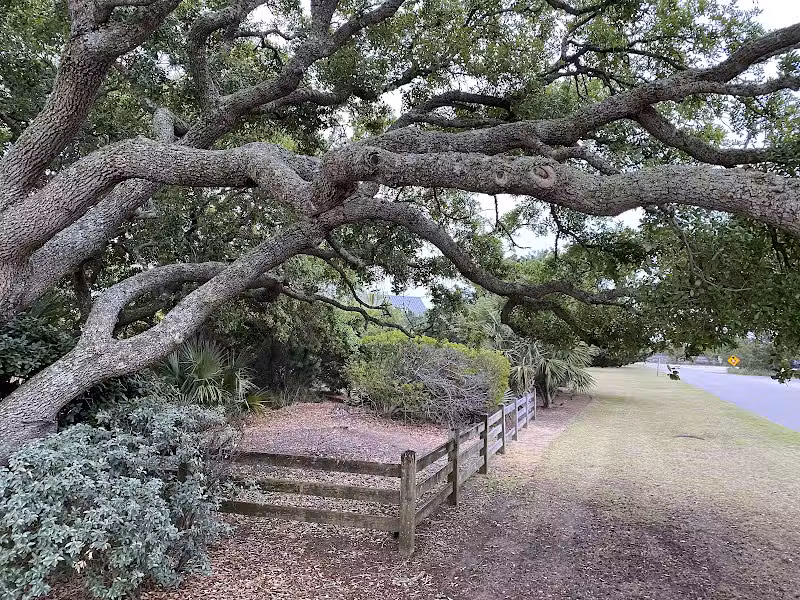 Pawleys Island Nature Park - Pawleys Island, SC