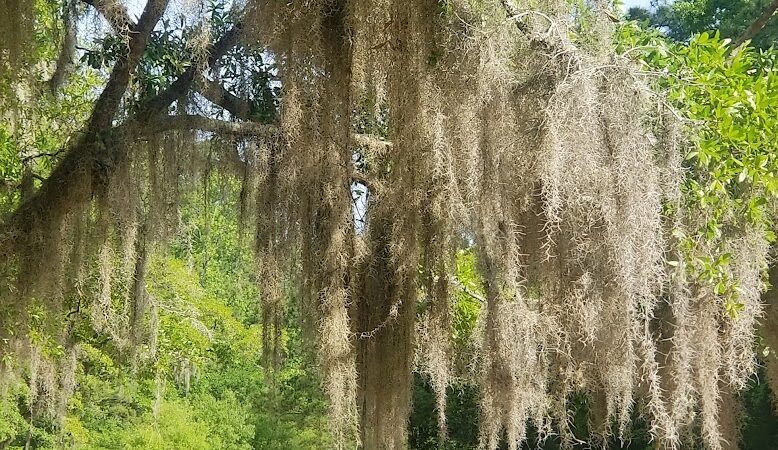 Stables Park - Pawleys Island, SC