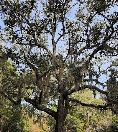 Stables Park - Pawleys Island, SC
