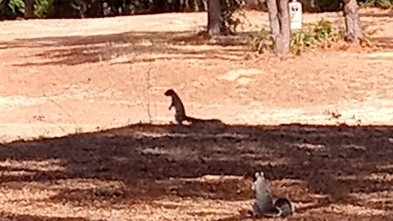Stables Park - Pawleys Island, SC