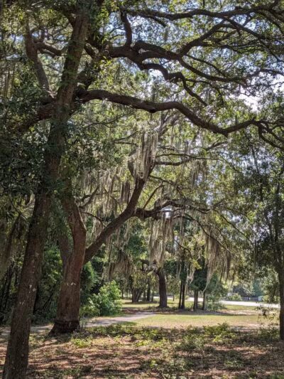 Stables Park - Pawleys Island, SC