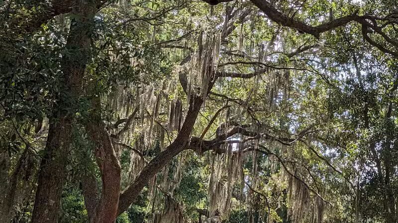 Stables Park - Pawleys Island, SC