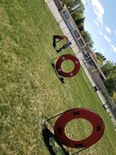 Hanigan Memorial Park - Dog Park