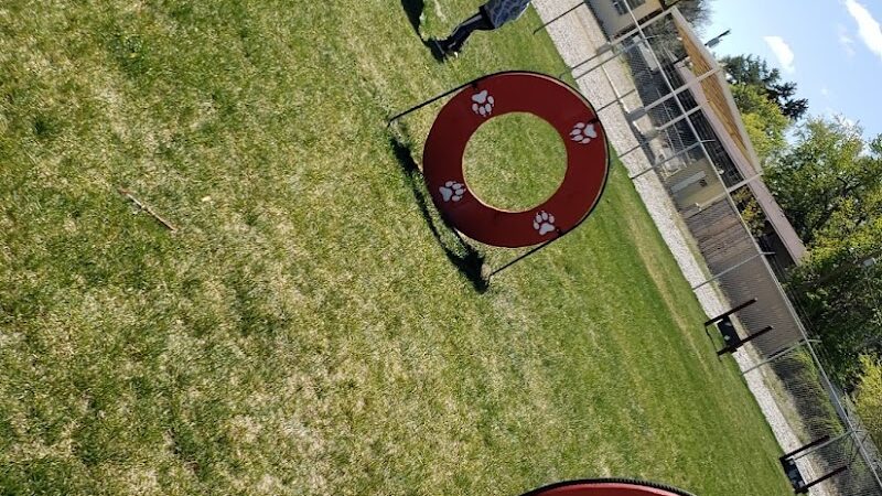 Hanigan Memorial Park - Dog Park