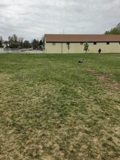 Hanigan Memorial Park - Dog Park