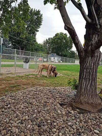 Hanigan Memorial Park - Dog Park