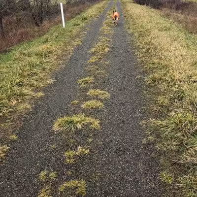 Willapa Hills State Park Trail - Pe Ell Trailhead - Pe Ell, WA