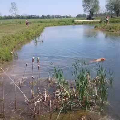 Four Lakes Dog Training Area - Pecatonica, IL
