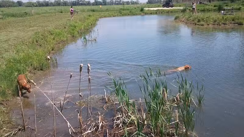 Four Lakes Dog Training Area - Pecatonica, IL
