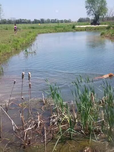 Four Lakes Dog Training Area - Pecatonica, IL
