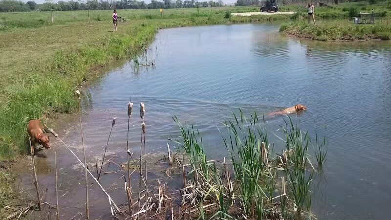 Four Lakes Dog Training Area - Pecatonica, IL