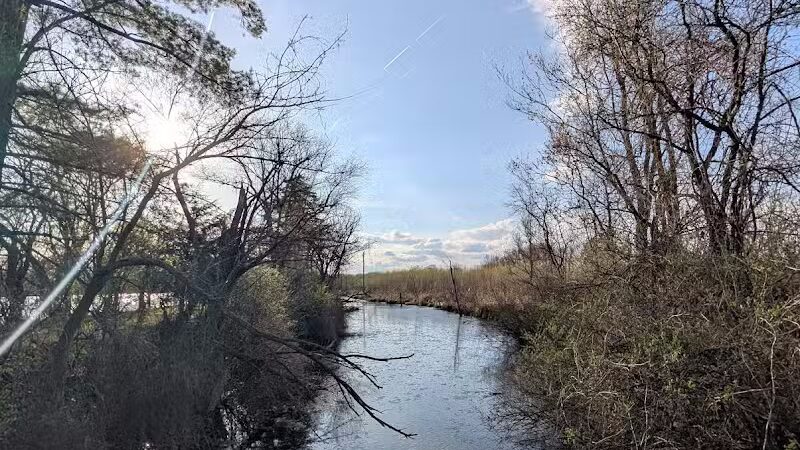 Four Lakes Dog Training Area - Pecatonica, IL