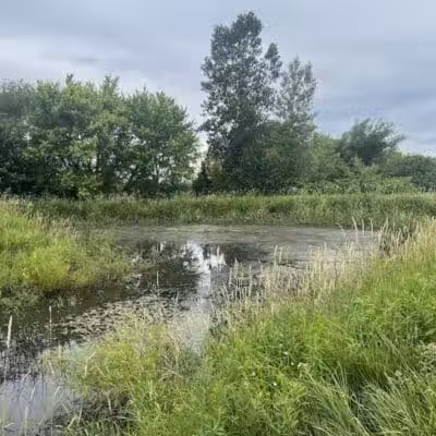 Four Lakes Dog Training Area - Pecatonica, IL