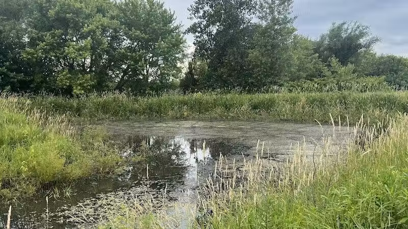 Four Lakes Dog Training Area - Pecatonica, IL