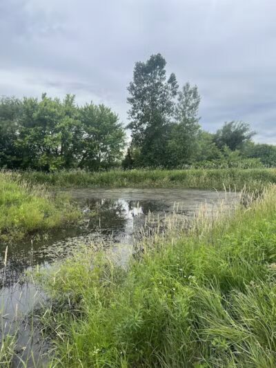 Four Lakes Dog Training Area - Pecatonica, IL