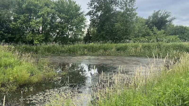 Four Lakes Dog Training Area - Pecatonica, IL