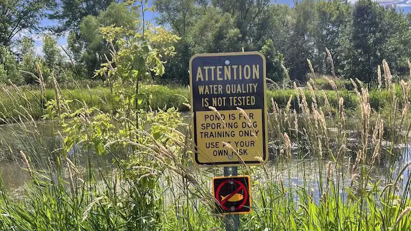 Four Lakes Dog Training Area - Pecatonica, IL