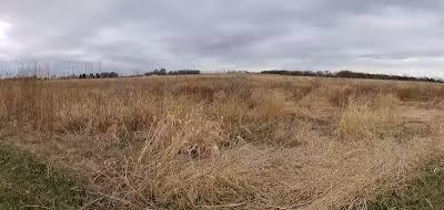 Four Lakes Dog Training Area - Pecatonica, IL