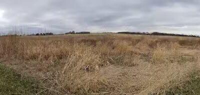 Four Lakes Dog Training Area - Pecatonica, IL