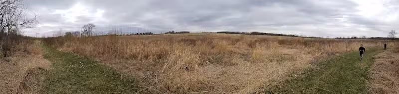 Four Lakes Dog Training Area - Pecatonica, IL