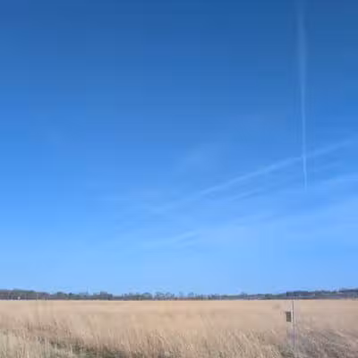 Four Lakes Dog Training Area - Pecatonica, IL
