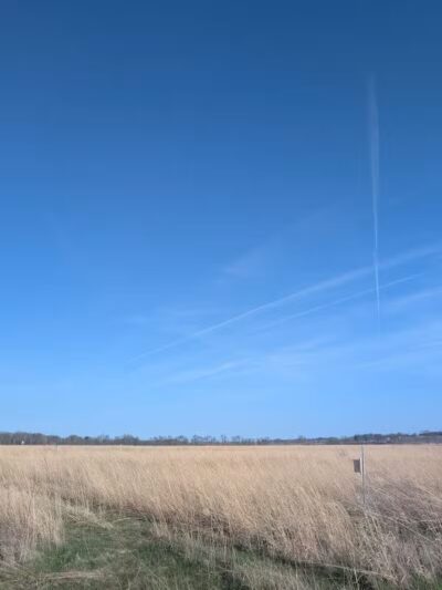 Four Lakes Dog Training Area - Pecatonica, IL