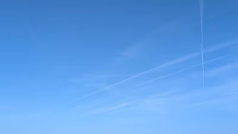 Four Lakes Dog Training Area - Pecatonica, IL