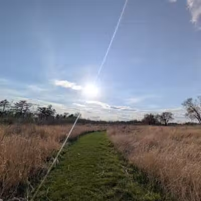 Four Lakes Dog Training Area - Pecatonica, IL