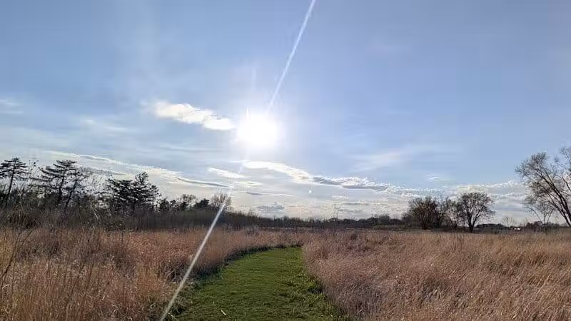 Four Lakes Dog Training Area - Pecatonica, IL