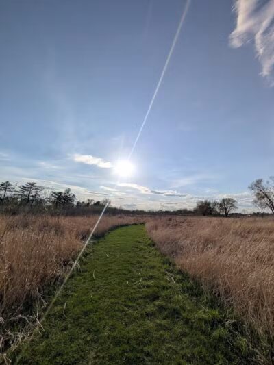 Four Lakes Dog Training Area - Pecatonica, IL