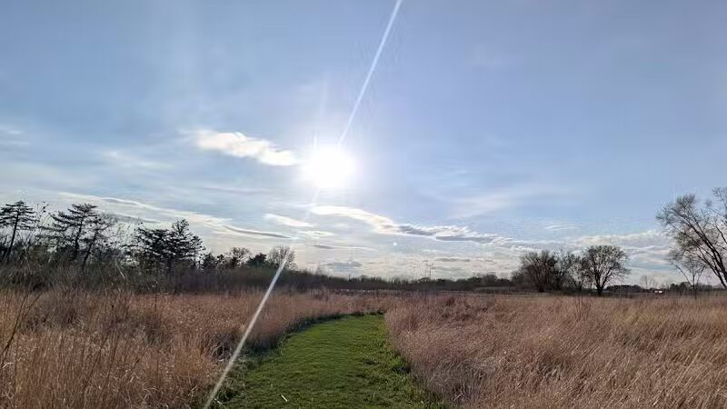 Four Lakes Dog Training Area - Pecatonica, IL