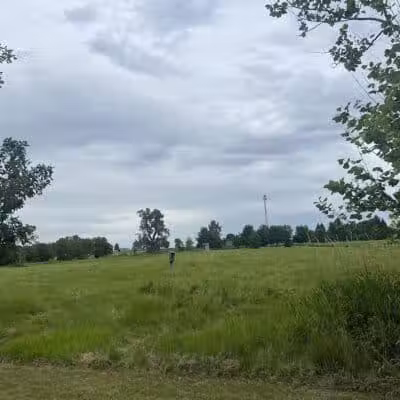 Four Lakes Dog Training Area - Pecatonica, IL