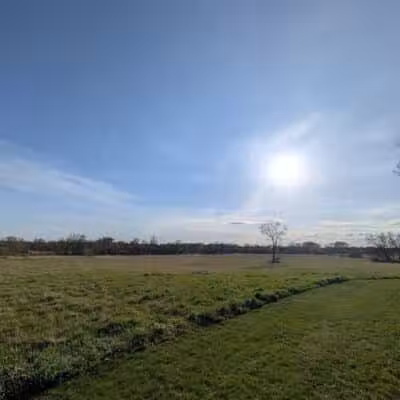 Four Lakes Dog Training Area - Pecatonica, IL