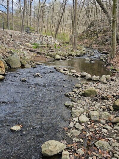 Peekskill Dog Park - Peekskill, NY