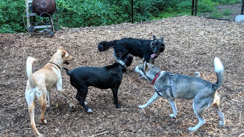 Peekskill Dog Park - Peekskill, NY