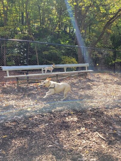 Peekskill Dog Park - Peekskill, NY