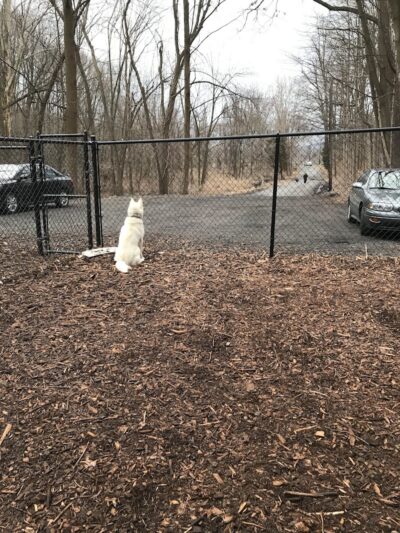 Peekskill Dog Park - Peekskill, NY