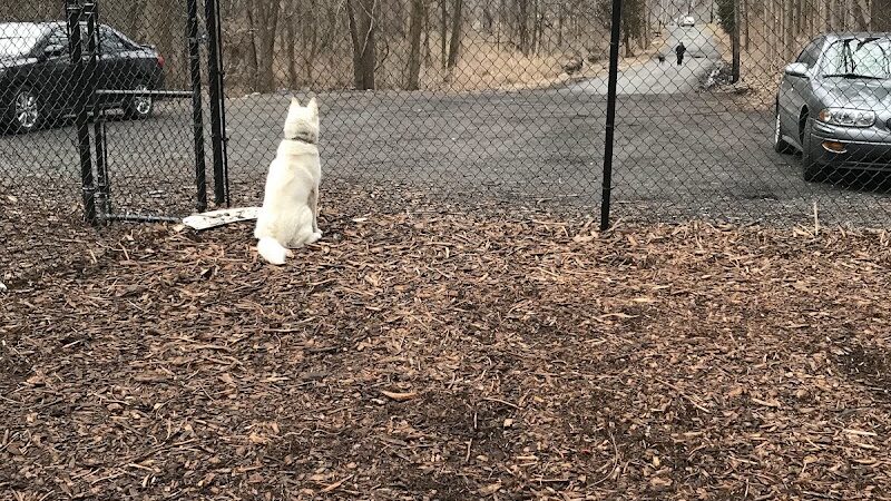Peekskill Dog Park - Peekskill, NY