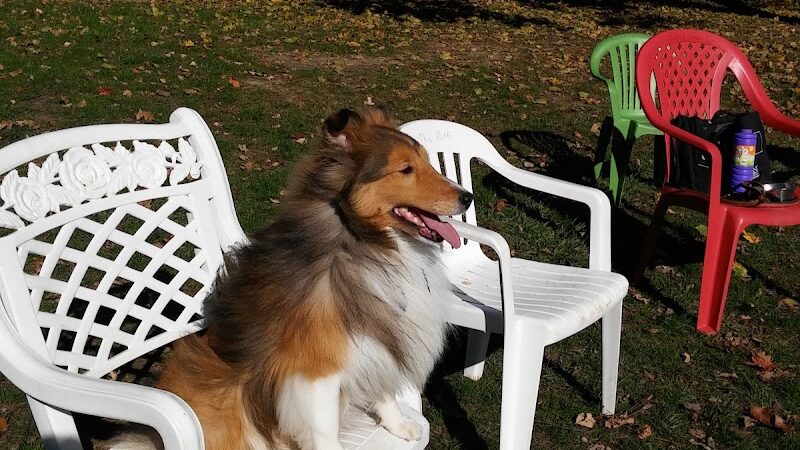 Happy Tails Dog Park - Pekin, IL
