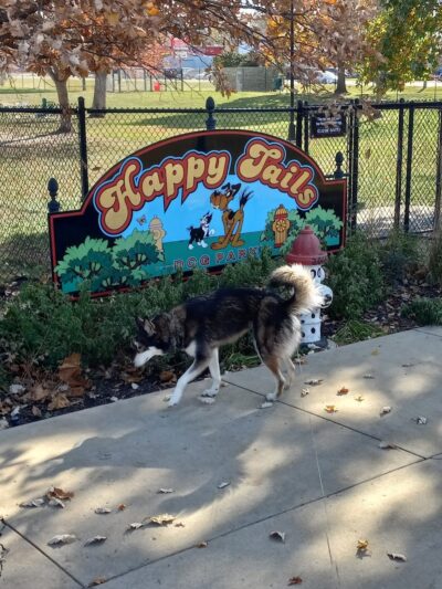 Happy Tails Dog Park - Pekin, IL