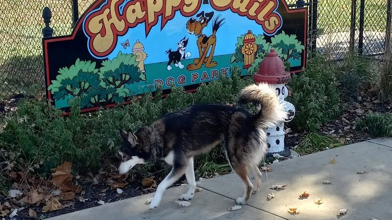 Happy Tails Dog Park - Pekin, IL