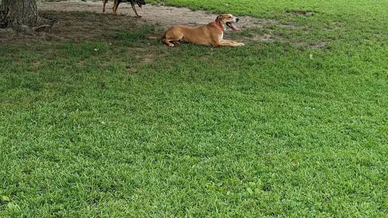 Happy Tails Dog Park - Pekin, IL