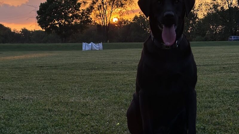 McNaughton DOG Training Area - Pekin, IL