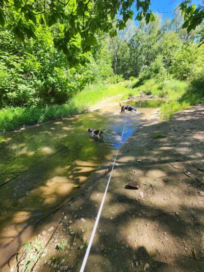 McNaughton DOG Training Area - Pekin, IL