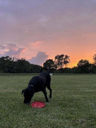McNaughton DOG Training Area - Pekin, IL