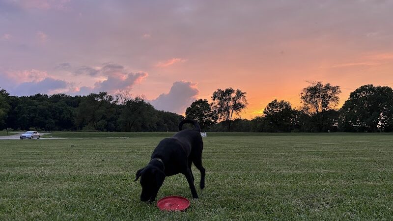 McNaughton DOG Training Area - Pekin, IL