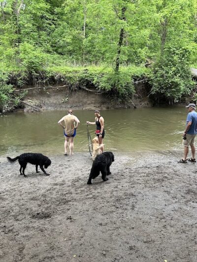 Spring Lake Park - Penfield, NY